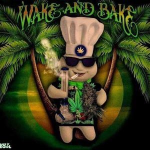 Meet your Posher, Roy